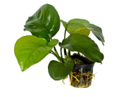 2795_2